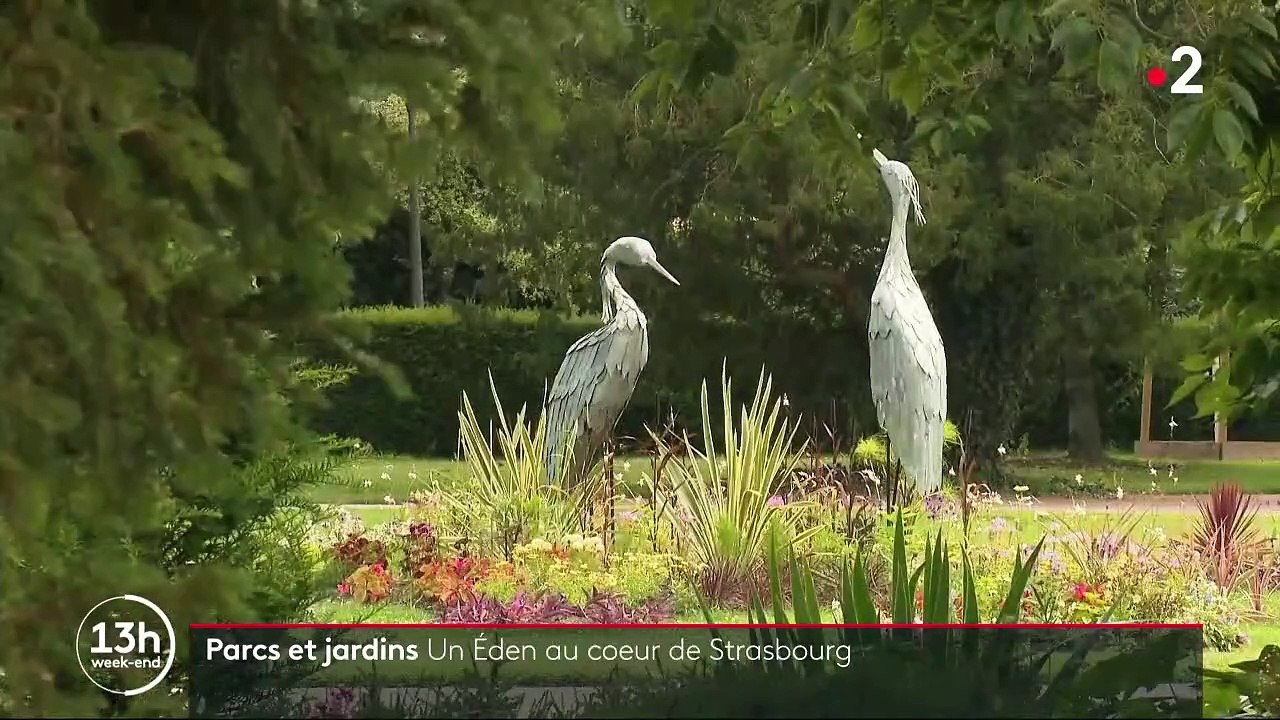 Strasbourg : à la découverte du parc de l’Orangerie
