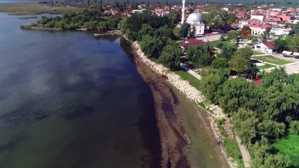 İznik Gölü’nde nesli tükenmekte olan su samuru karaya vurdu