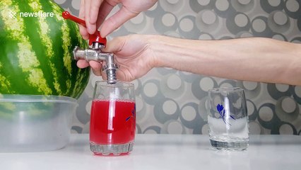 YouTuber shows you how to quench your thirst on a summer's day with watermelon juice dispenser