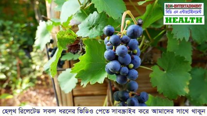 আঙ্গুরের উপকারিতা এবং পুষ্টিগুণ | Health tips bd bangla | Healthy lifestyle | bdn entertainment