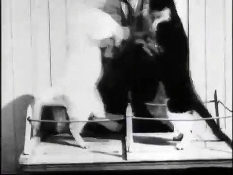 Les chats boxeurs (Los gatos boxeadores) [1898]