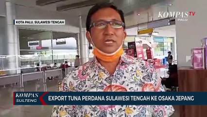 Export Tuna Perdana Sulawesi Tengah Ke Osaka Jepang