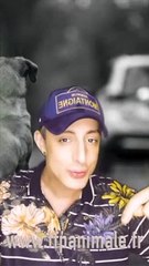 Journée Mondiale contre l'abandon des animaux 2ème Partie