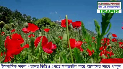 মা ফাতেমার শিক্ষা দীক্ষা | Ma Fatema Jiboni | Fatema biography | Fatema biography part-06