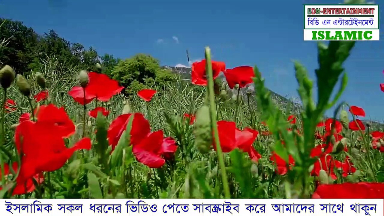 মা ফাতেমার শিক্ষা দীক্ষা | Ma Fatema Jiboni | Fatema biography | Fatema biography part-06