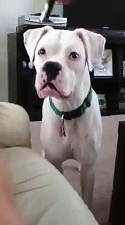 Woof I Caught The Dot