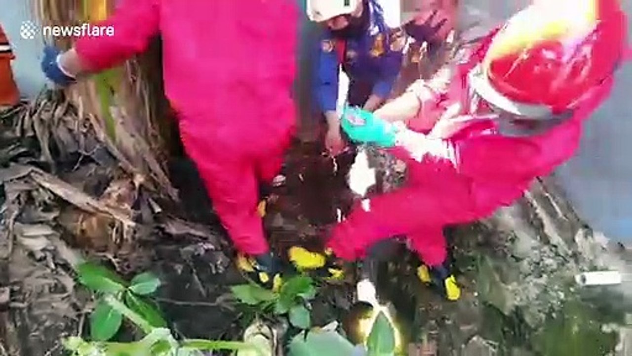 Massive three-metre long python stuck in pipe at Indonesian family home ...