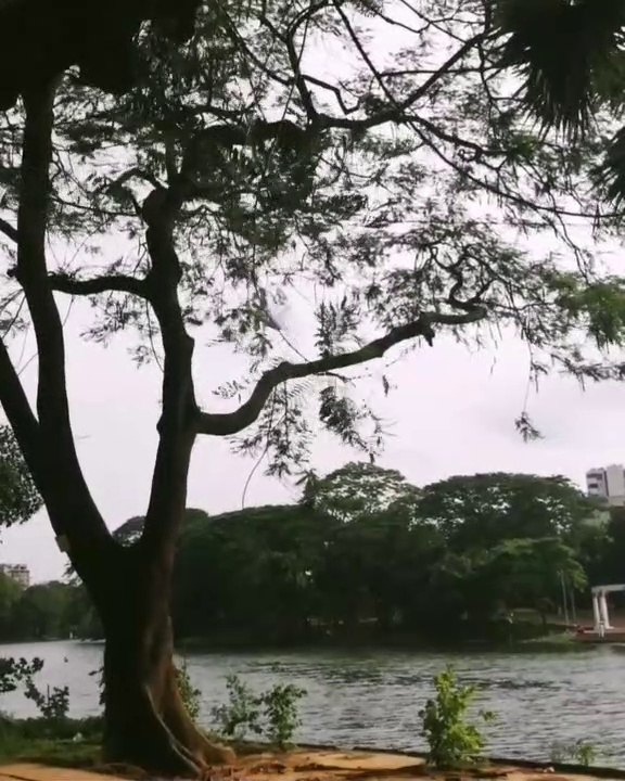 Nature love