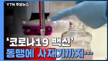 '코로나19 백신 동맹'에 사재기까지...각국, 선점 경쟁 치열 / YTN