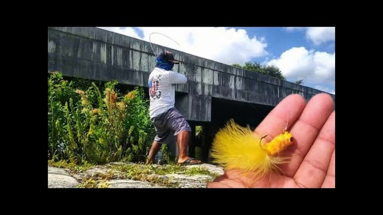 BIG FISH with TINY Lure CHALLENGE Before Hurricane Irma