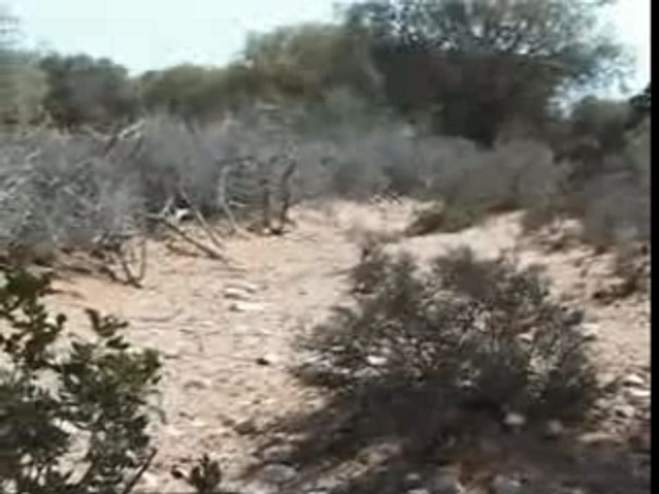 6 Marche et Graf - Sidi Kaouki