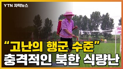 [자막뉴스] 충격적인 北 식량난..."3개월치 배급, 이루어지지 않아" / YTN