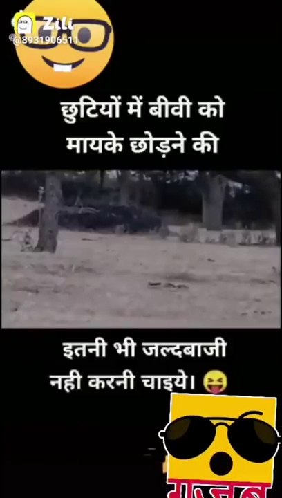 funny videos