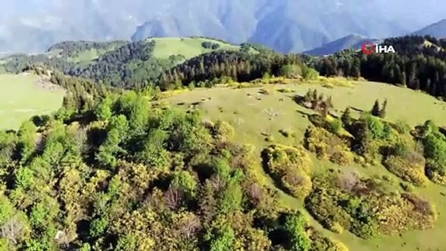 Akinek Yaylası manzarasıyla hayran bırakıyor