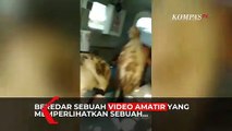 Viral! Ambulance Dipakai Angkut Kambing di Lumajang