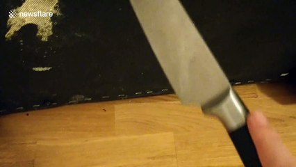 London tenants freak out when they find the creepy outline of an animal under the sofa in their new flat