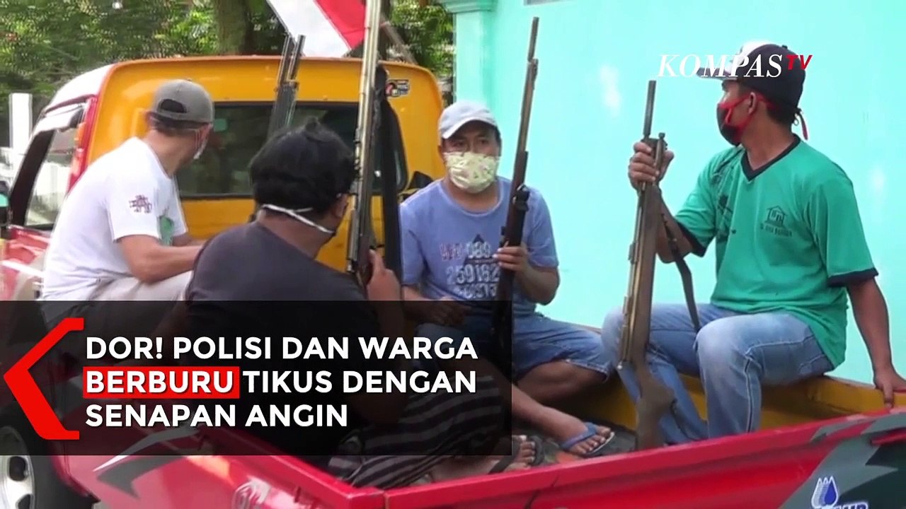Dor! Polisi dan Warga Berburu Tikus dengan Senapan Angin