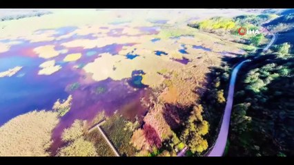 Efteni gölü misafirlerini bekliyor