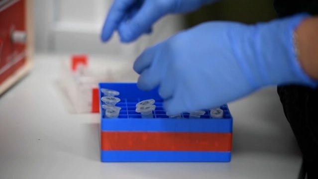 EEUU sobrepasa los 2,5 millones de casos de coronavirus