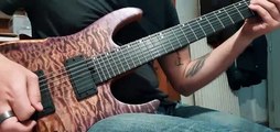 Hufschmid Guitars - Goofing around with my new build! (666 scale!)