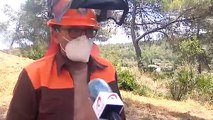 Brigadistas forestales de Valencia trabajan sin descanso temerosos de un verano complicado