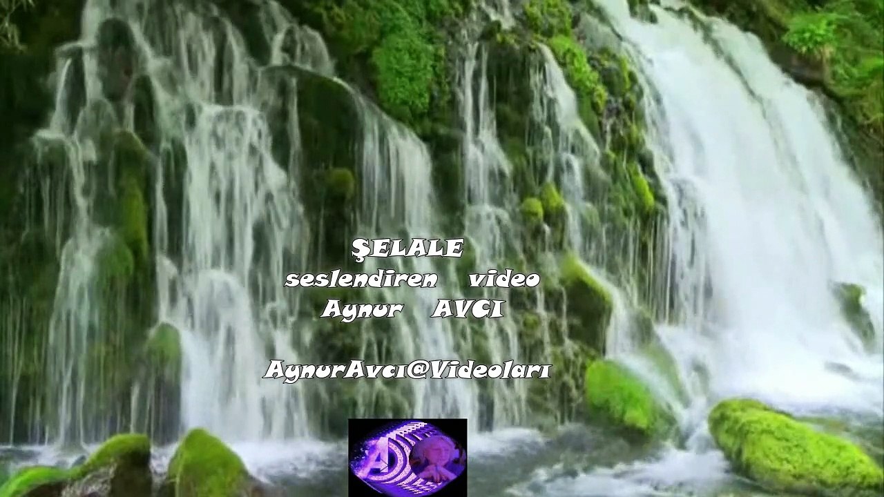 ŞELALE **seslendiren **video** Aynur AVCI