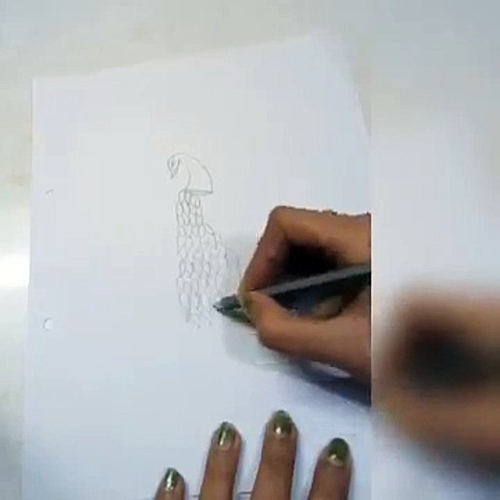 How to draw a beautiful peacock _ Sketch and Art _ peacock art and drawing _ amazing art and sketch
