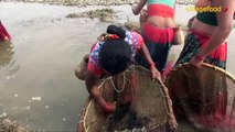 amazing net fishing and cooking culture in Nepal village food kitchen