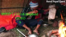 Shepherd into the Shelter Life of Himalaya Nepal