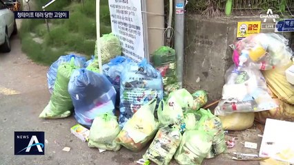 청테이프로 다리 묶인 새끼 고양이…쓰레기더미서 발견