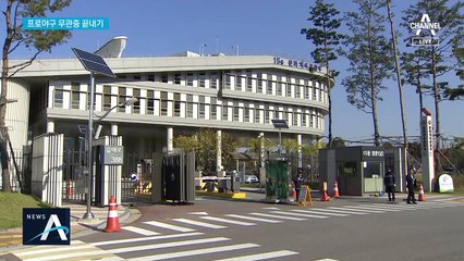 “야구 직관 가자”…프로스포츠 관중 입장 허용