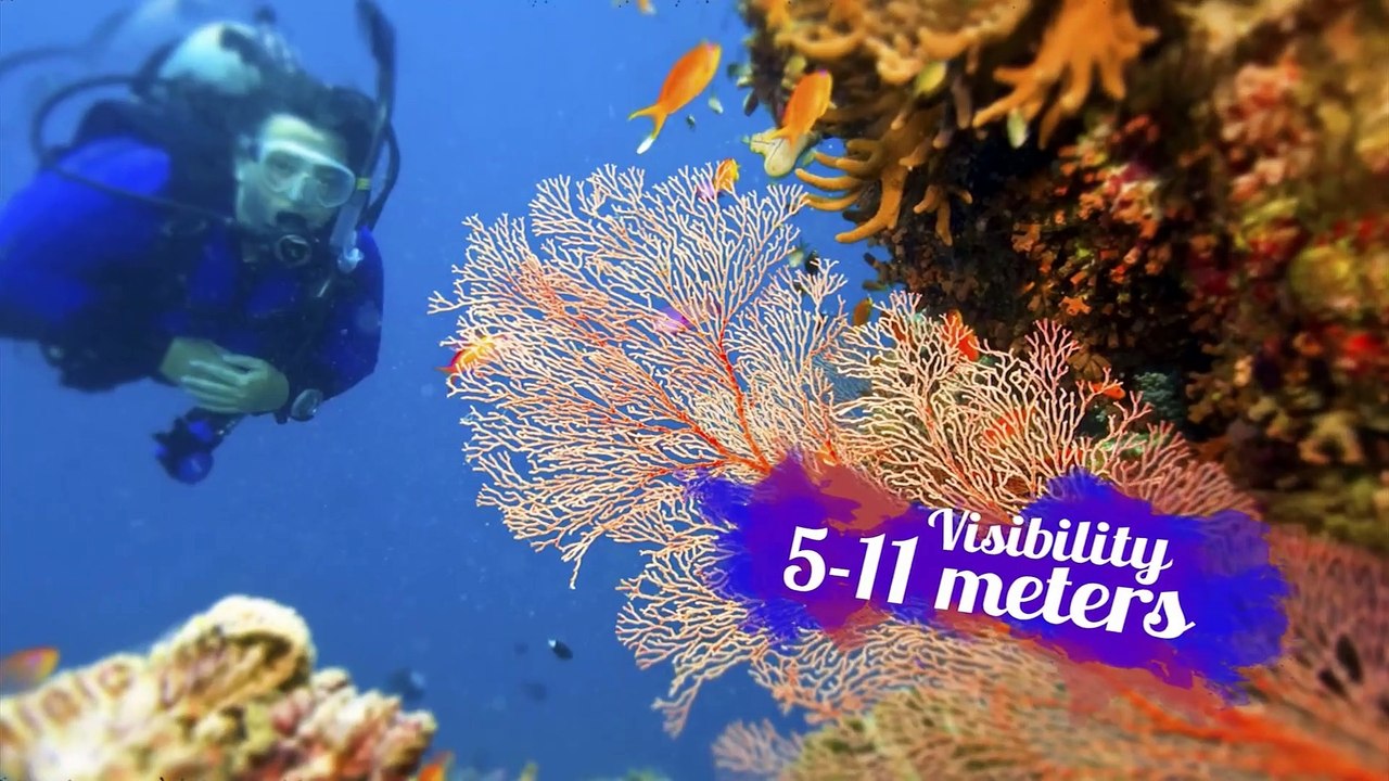 Scuba Diving in India - Top 5 Destinations