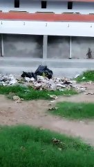 यूपी का ऐसा कक्वारंटाइन सेंटर जहां रहते हैं सांप और विषखोपड़ा, मरीजों को जान का खतरा