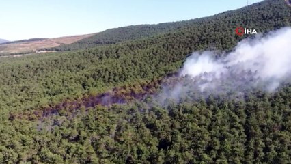 Kayışdağı'nda ormanlık alanda yangın çıktı