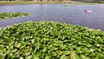 Doğa güzelliği Yayla Gölü hassas koruma alanı ilan edildi