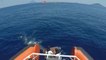 Liberan en Italia a una ballena atrapada en una red de pescador ilegal