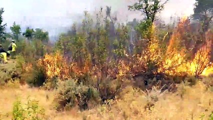 Decenas de efectivos trabajan para extinguir un incendio en Huelva