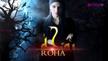 Horror Drama Series Roha Ep 40 | Top Horror Drama Series