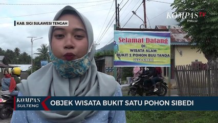 Objek Wisata Bukit Satu Pohon Sibedi