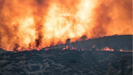 Fireworks Blamed: Utah Wildfire