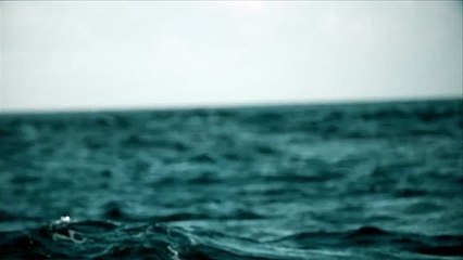 Shark Week 2020 on Discovery Channel