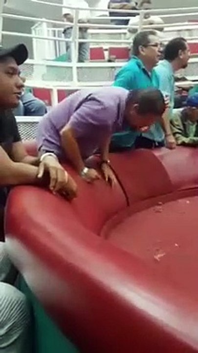 Chicken fight | Entertainment Harnai