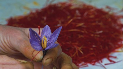 What Makes Saffron So Jaw-Droppingly Expensive?