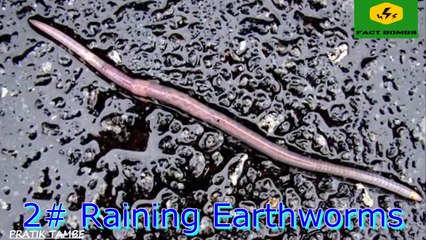 8 strangest things to fall from sky