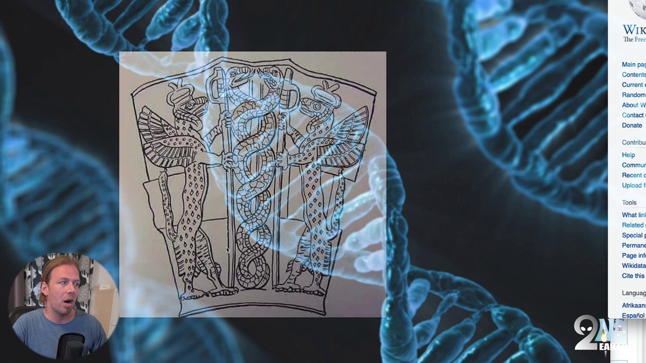 Genesis: How scriptures may indicate GENETIC MANIPULATION by ETs -- Owls and Extra Terrestrials!