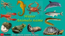 Water animals name __ Sea animals name