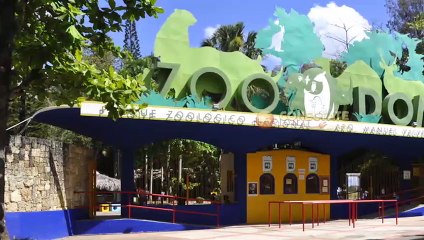 Así han vivido los animales del Zoológico Nacional  durante el confinamiento