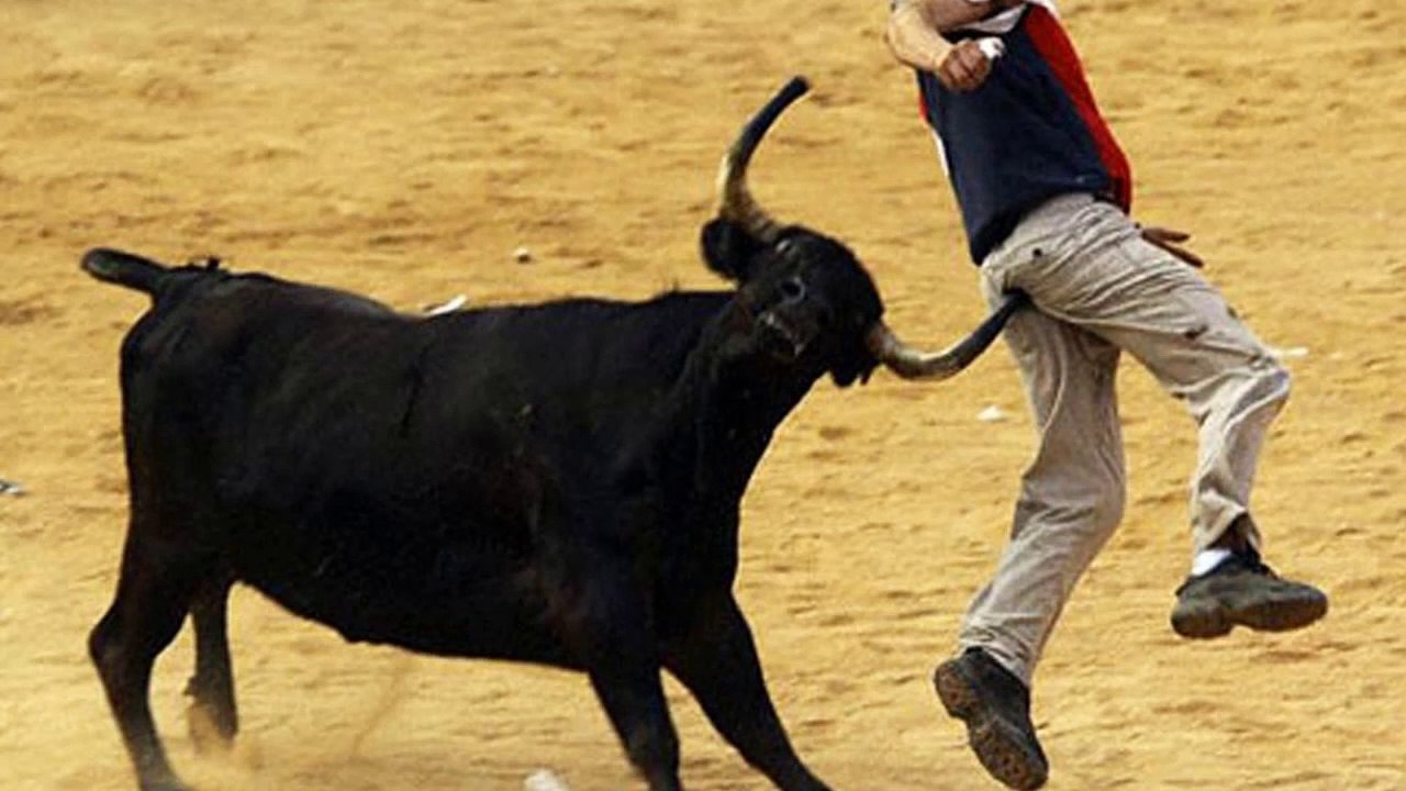 10 Most Ironic Ways People Have Died
