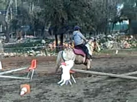 candice - fév 08 - obstacle