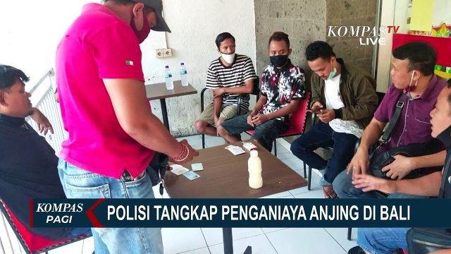 Motif Aniaya Anjing di Bali: Hanya untuk Makan-Makan Saja